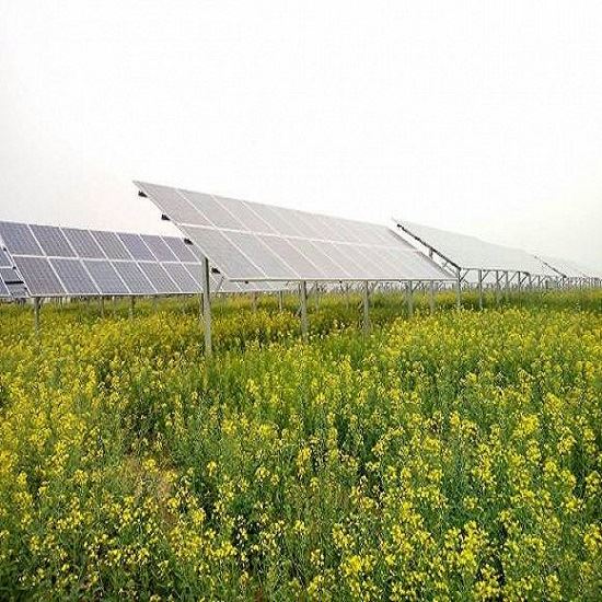 Landwirtschaft PV-Montagestrukturen