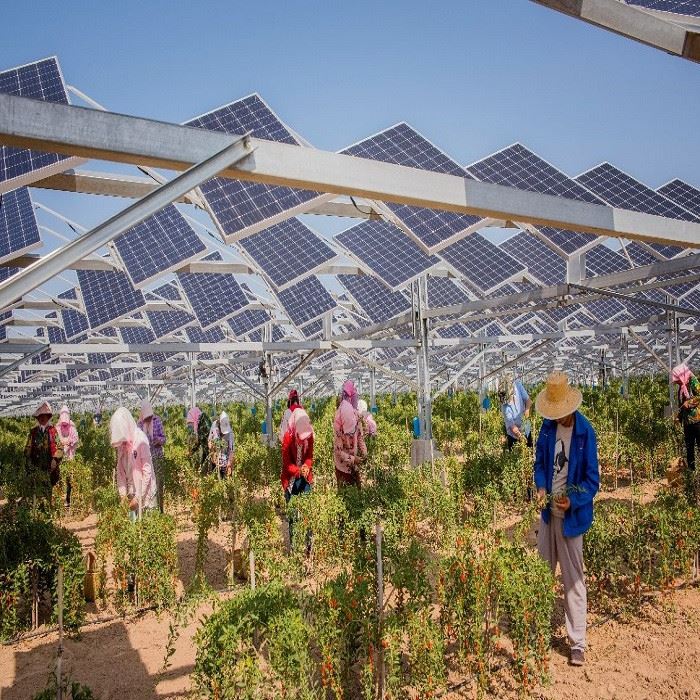 solar farm structures