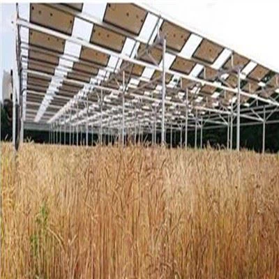 Solares Montagesystem für die Landwirtschaft