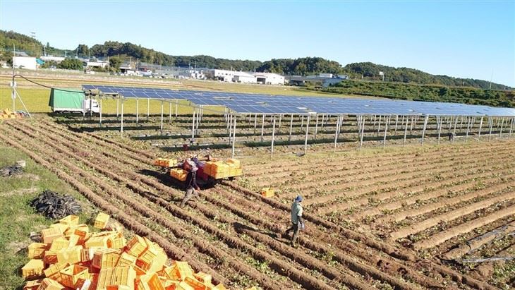Ground Screw Mounting Systems For Utility & Commercial Solar factory