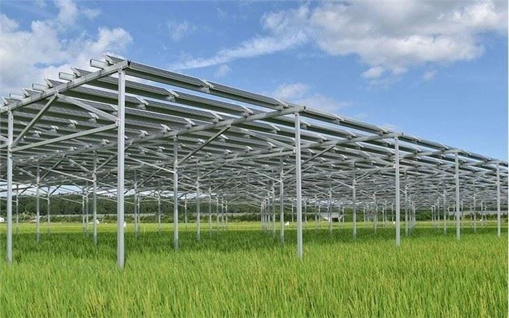 Solar Mounting Systems For Agriculture price