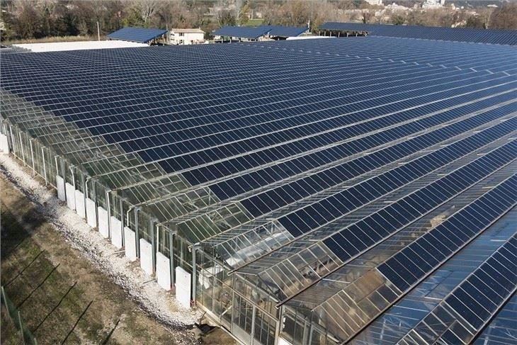 Solar Mounting Systems For Agriculture best